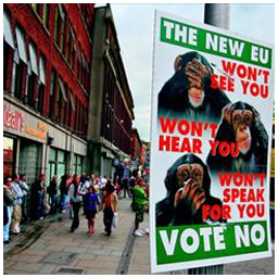 Данас резултати референдума  у Ирској