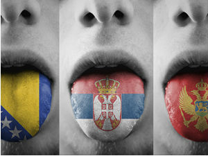 Да ли се босански и црногорски разликују од српског језика
