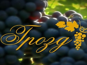 Jedan dan u vinogradima Srbije