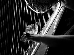 Ансамбл The Harp Consort