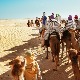 Тунис, пустиња