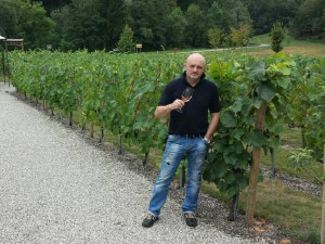 Domaći vinari visoko pozicionirani u svetu
