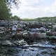 Da se labudovi ne gnezde u smeću – Beograd konačno kreće u akciju čišćenja Dunava