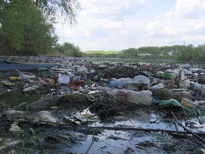 Da se labudovi ne gnezde u smeću – Beograd konačno kreće u akciju čišćenja Dunava