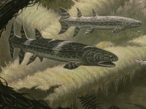 Pronađen fosil „ribe ubice“ star 360 miliona godina