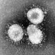 Imunski sistem i „dugi“ COVID-19