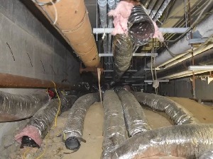 Kuda vode ovi kablovi – domar otkrio ilegalno postrojenje za kopanje kriptovaluta u školi