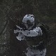 Gusta šuma, planina, dubok sneg – kako izgleda obuka vojnih specijalaca na Kopaoniku
